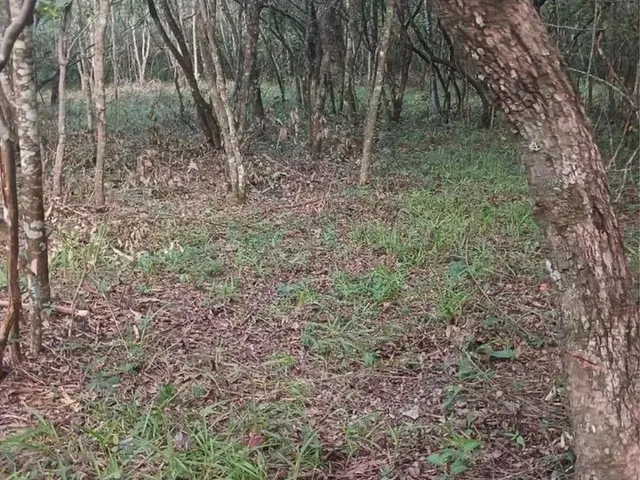 Imagem 7: Chácaras de 3Mil Mt com Córrego Nao Perca Essa Oportunidade!