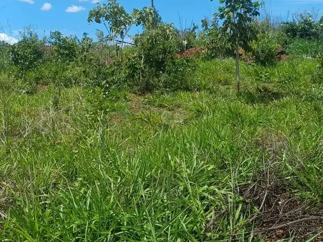 Imagem 2: Vende-Se Chácara de 2,500 Metros Quadrados