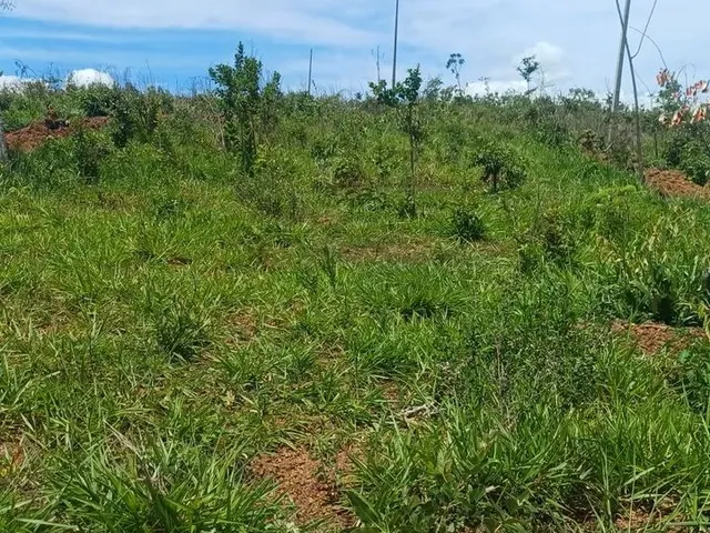 Imagem 3: Vende-Se Chácara de 2,500 Metros Quadrados
