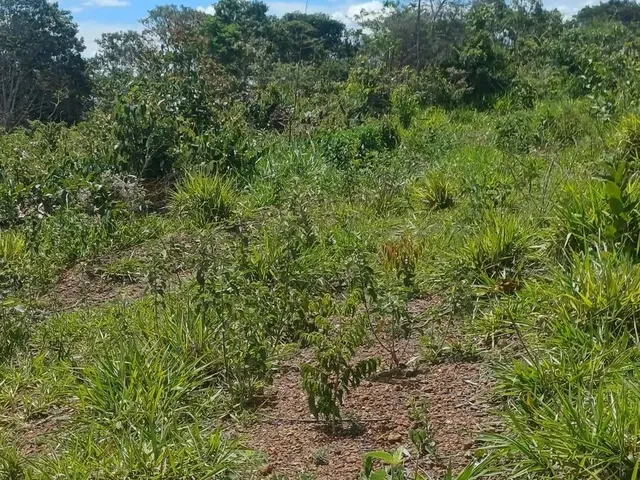 Imagem 4: Vende-Se Chácara de 2,500 Metros Quadrados