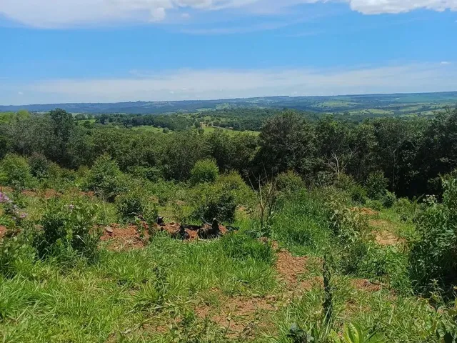 Imagem 9: Vende-Se Chácara de 2,500 Metros Quadrados