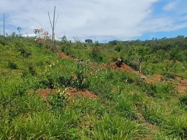Imagem 11: Vende-Se Chácara de 2,500 Metros Quadrados
