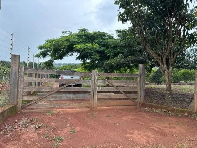 Imagem 6: Chácara 8Km de Anapolis, Formada, Casa,Galinheiro,Tq Peixe,Cercada,5.295M2 Córrego