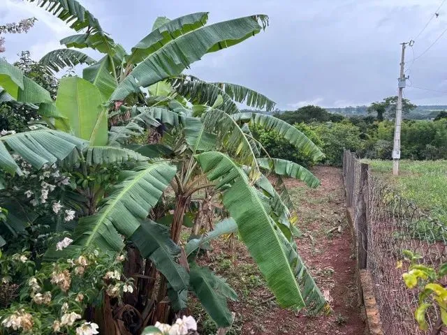 Imagem 15: Chácara 8Km de Anapolis, Formada, Casa,Galinheiro,Tq Peixe,Cercada,5.295M2 Córrego