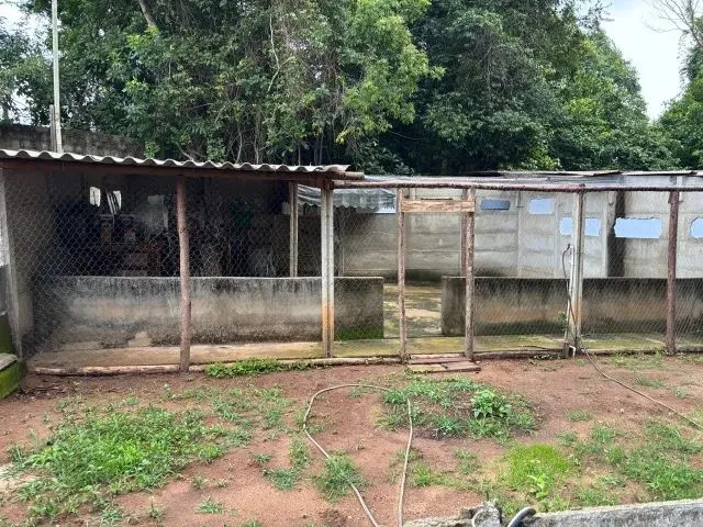 Imagem 5: Chácara 8Km de Anapolis, Formada, Casa,Galinheiro,Tq Peixe,Cercada,5.295M2 Córrego