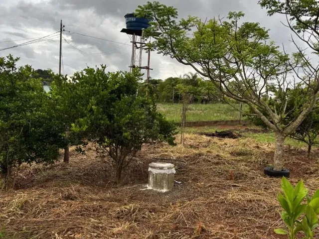 Imagem 8: Chácara 8Km de Anapolis, Formada, Casa,Galinheiro,Tq Peixe,Cercada,5.295M2 Córrego
