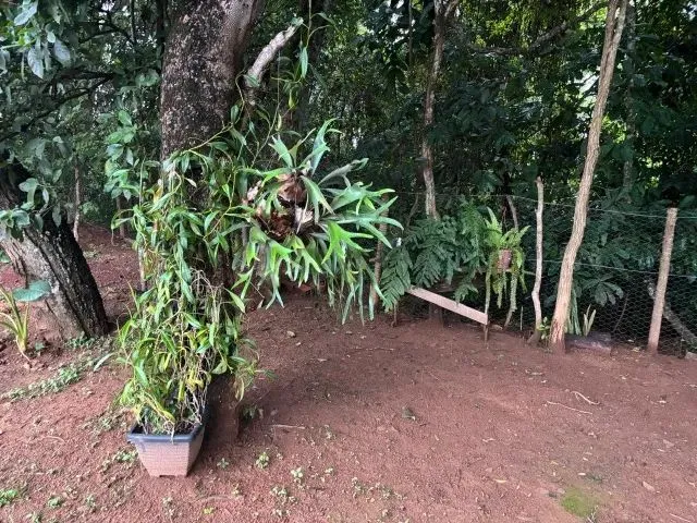 Imagem 12: Chácara 8Km de Anapolis, Formada, Casa,Galinheiro,Tq Peixe,Cercada,5.295M2 Córrego