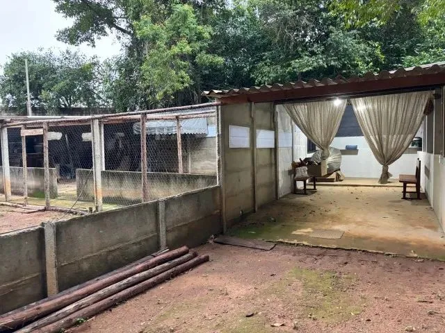 Imagem 7: Chácara 8Km de Anapolis, Formada, Casa,Galinheiro,Tq Peixe,Cercada,5.295M2 Córrego