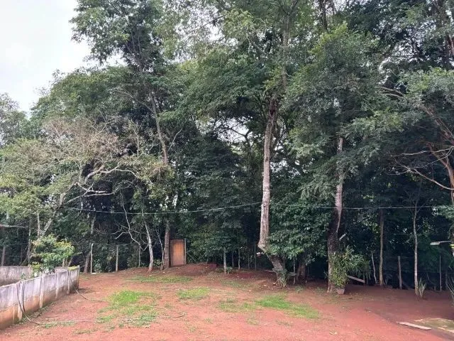 Imagem 11: Chácara 8Km de Anapolis, Formada, Casa,Galinheiro,Tq Peixe,Cercada,5.295M2 Córrego