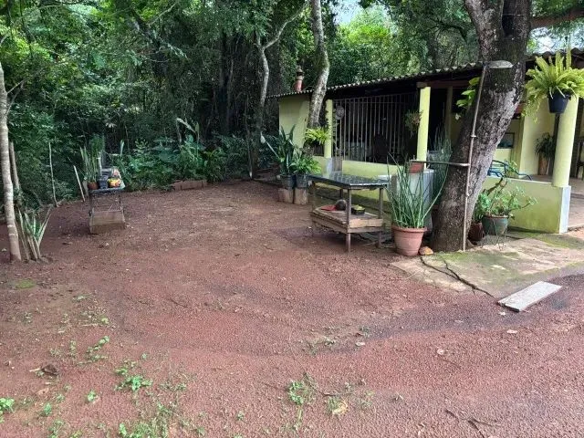 Imagem 14: Chácara 8Km de Anapolis, Formada, Casa,Galinheiro,Tq Peixe,Cercada,5.295M2 Córrego