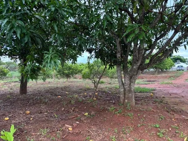 Imagem 2: Chácara 8Km de Anapolis, Formada, Casa,Galinheiro,Tq Peixe,Cercada,5.295M2 Córrego