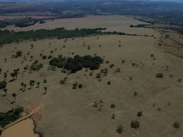 Imagem: Fazenda 23, 5 Alq. Versátil À Venda em