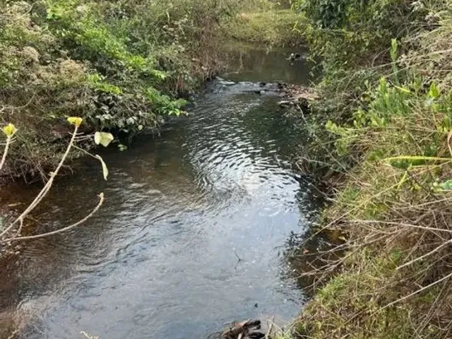 Imagem: Chácara 16 Mil Metros Quadrados Rica em
