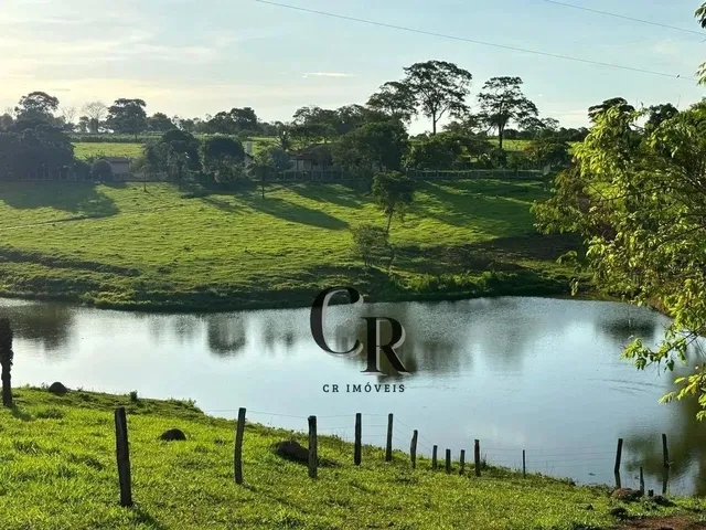Imagem: Fazenda Extra em Trindade - Go