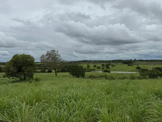 Imagem: Vendo Ou Alugo Fazenda 52 Alqueires