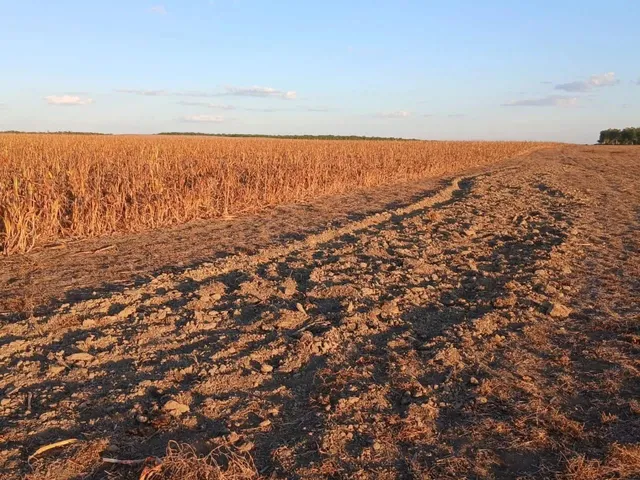 Imagem: Fazenda À Venda Preço de Oportunidade