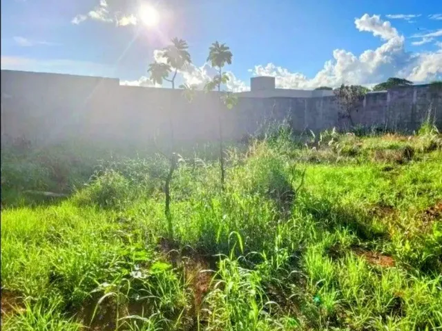 Imagem 3: Lote Anápolis City 450M2 Murado