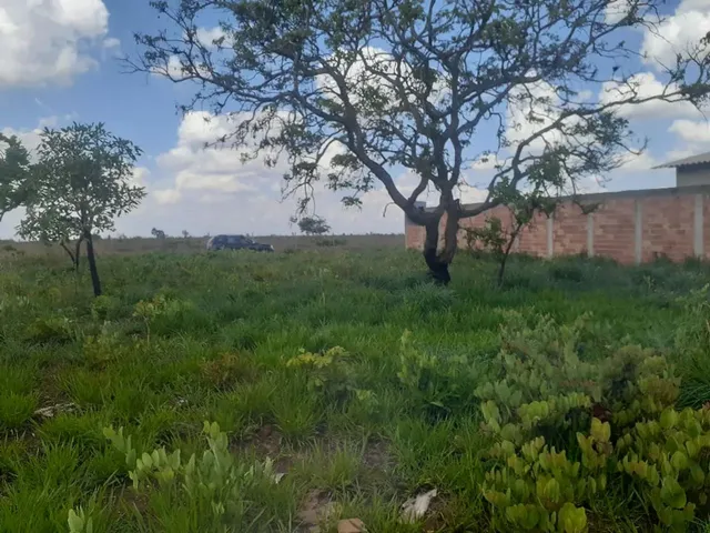 Imagem: Lote em Frente Barreira Policial Aragoiania