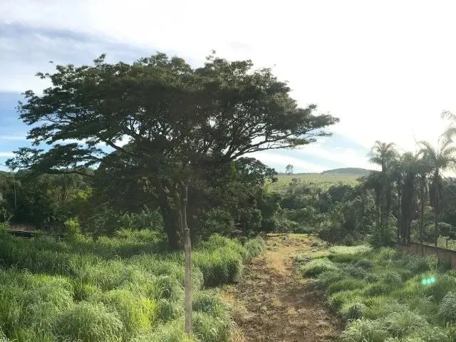 Imagem 3: Chácara | Monte Sinai - Anápolis/Go