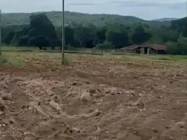 Imagem 1: Fazenda de 152 Alqueires em Nova Crixas-Go