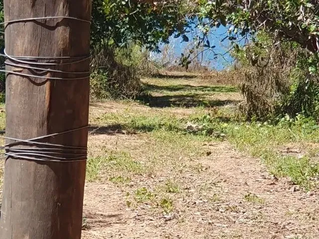 Imagem 15: Chácara Serra da Mesa
