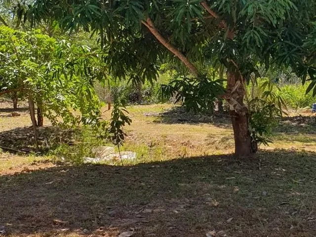 Imagem 14: Chácara Serra da Mesa