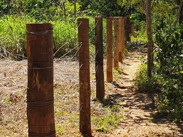 Imagem 5: Chácara Serra da Mesa