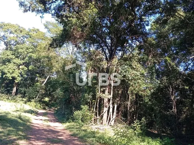 Imagem: Oportunidade de Chacará com Mata Exuberante