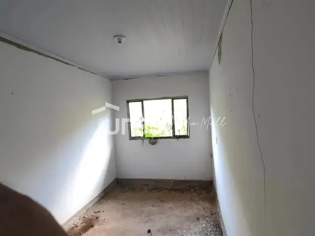 Imagem 8: 0 - Chácara 3 Quartos
