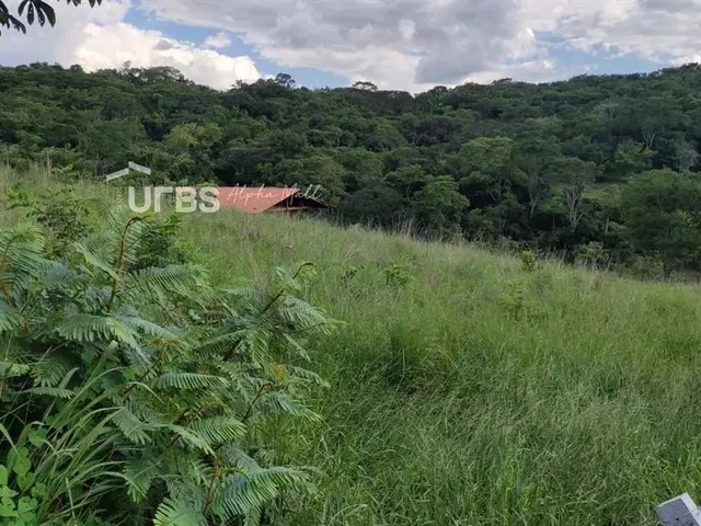 Imagem 14: 0 - Chácara 3 Quartos