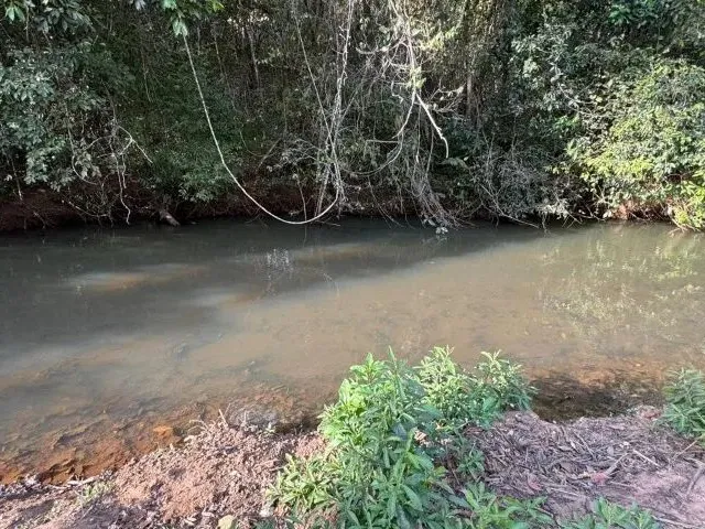 Imagem 11: Chácara a Venda 5.000M2