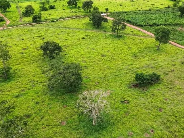 Imagem: Chácara 20.000M², Energia, Terra de Cultura