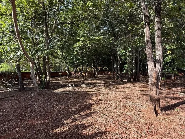 Imagem 6: Oportunidade Terreno Escriturado em Pirenópolis