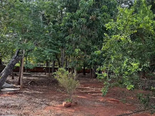 Imagem 4: Oportunidade Terreno Escriturado em Pirenópolis