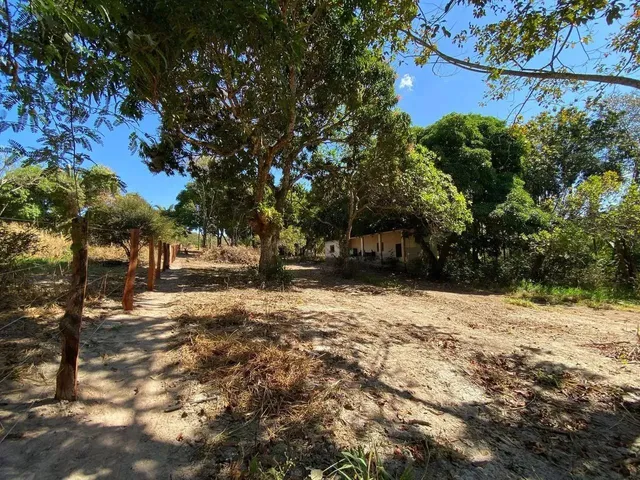 Imagem: Chácara a Venda / 5.000,000 M2 / Arvores