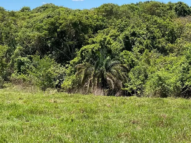 Imagem: Chácaras de 2Mil Mt em o Trindade Próxima