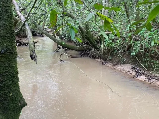 Imagem 1: Chácaras Cercadas e com Córrego em Cromínia!