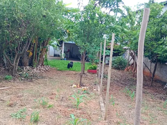 Imagem 8: Lote a Venda no Centro de Aragoiânia