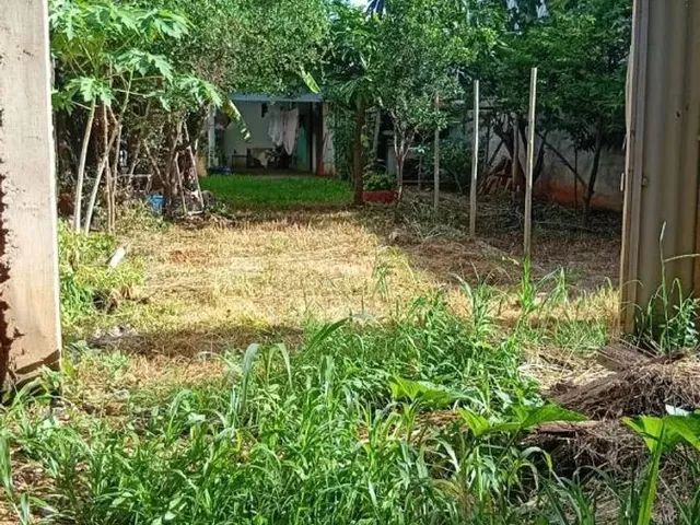 Imagem 10: Lote a Venda no Centro de Aragoiânia