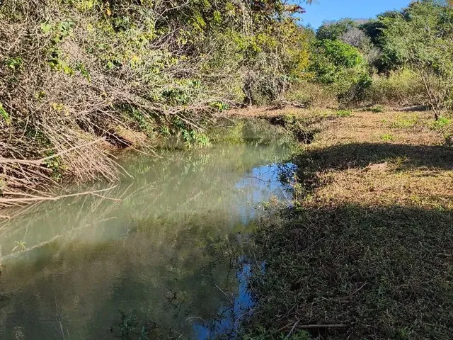 Imagem 7: Chácara em Petrolina de Goias