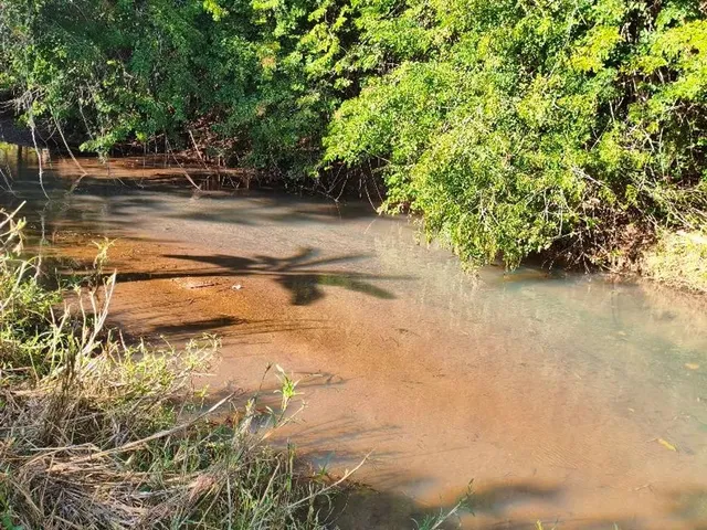 Imagem 9: Chácara em Petrolina de Goias