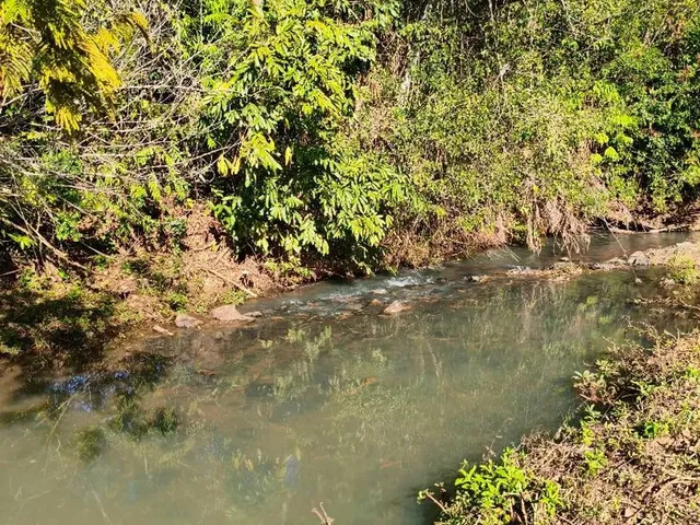 Imagem 10: Chácara em Petrolina de Goias