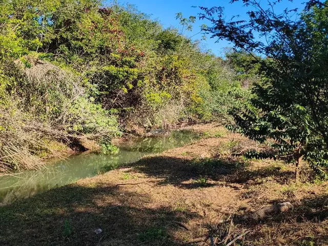 Imagem 12: Chácara em Petrolina de Goias