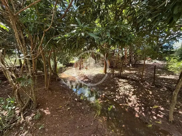 Imagem 9: Hidrolândia - Chácara no Centro Codigo: 266441