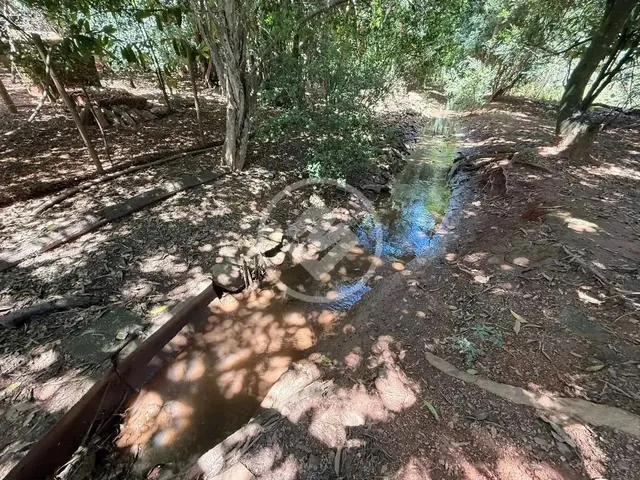 Imagem 15: Hidrolândia - Chácara no Centro Codigo: 266441