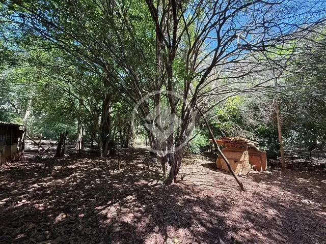 Imagem 11: Hidrolândia - Chácara no Centro Codigo: 266441