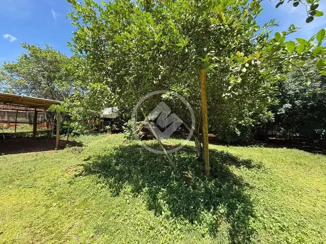 Imagem 13: Hidrolândia - Chácara no Centro Codigo: 266441