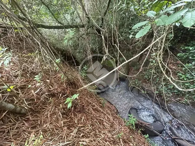 Imagem 1: Hidrolândia - Chácara de 1 Alqueire Codigo: 266110