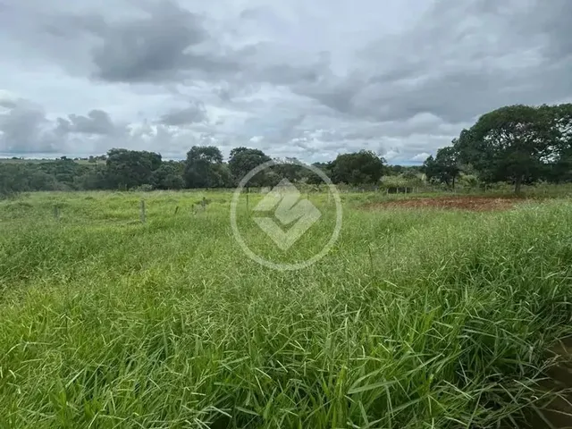 Imagem 13: Hidrolândia - Chácara de 1 Alqueire Codigo: 266110
