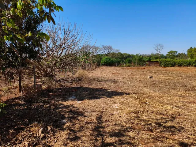 Imagem 6: Chácara em Nerópolis